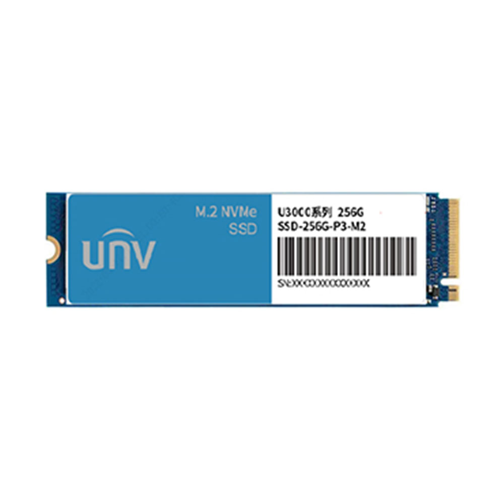 SSD-256G-P3-M2